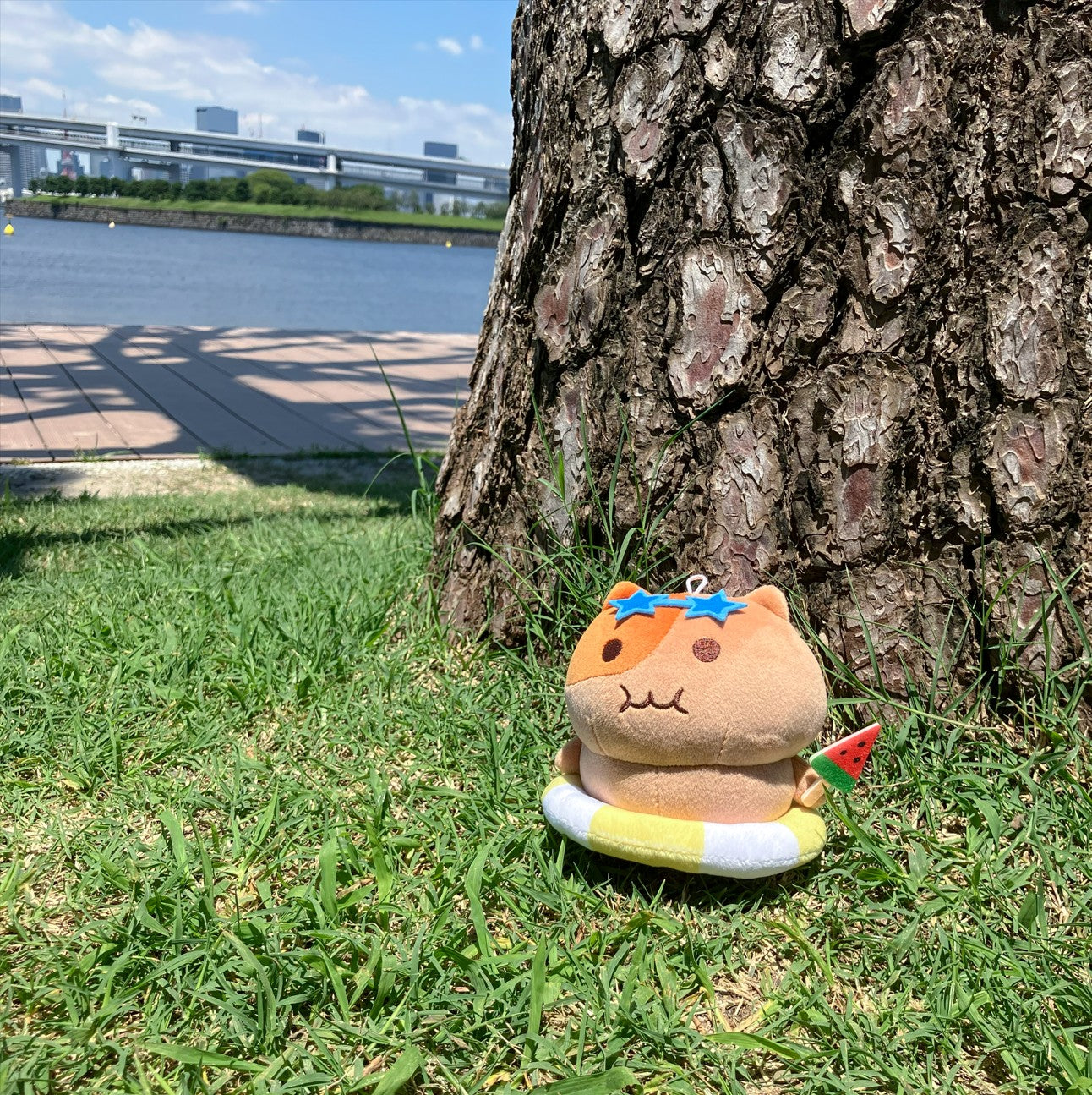 もちにゃみサマーコレクション 日焼けver. – もちにゃみ公式オンライン